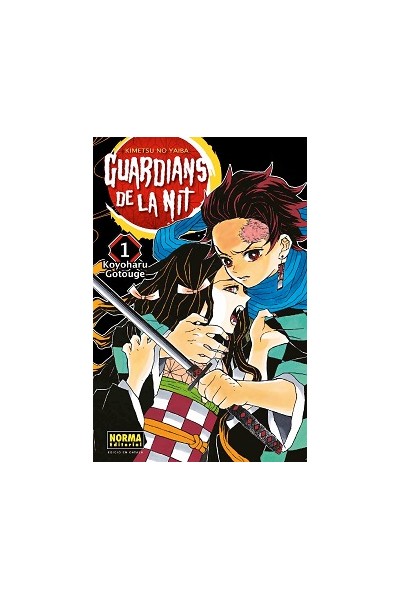 Guardians De La Nit 01