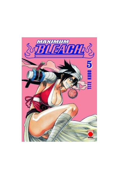 Bleach Maximum 05