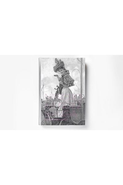 Narciso Mendez Bringa. El Espectaculo De La Ilustracion