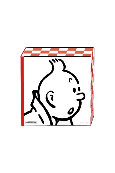 Museo Herge