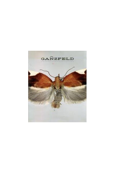The Ganzfeld Look No Further #03