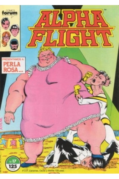 Alpha Flight Vol.1 17