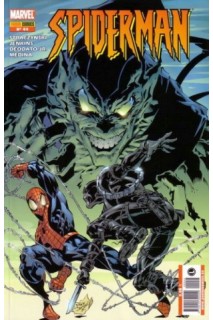 Spiderman 44