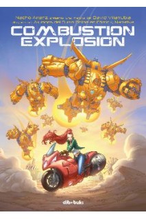 Combustion Explosion