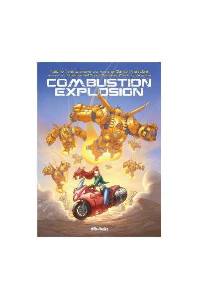 Combustion Explosion