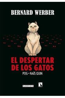 El Despertar De Los Gatos