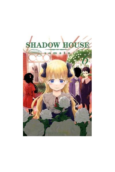 Shadow House 06