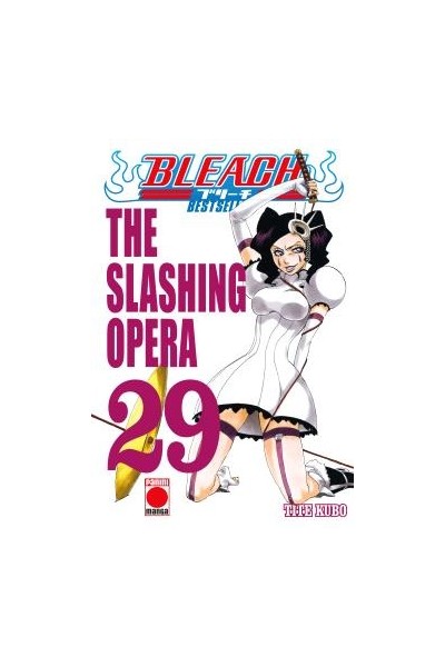 Bleach: Bestseller 29