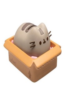 Pusheen - Hucha
