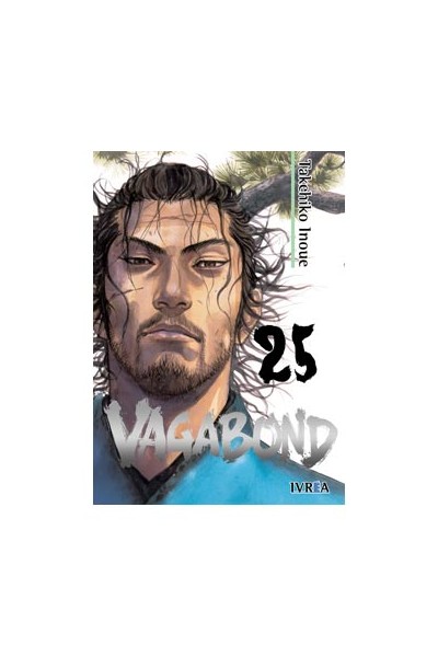Vagabond 25