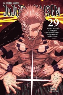 Jujutsu Kaisen (Català) 29