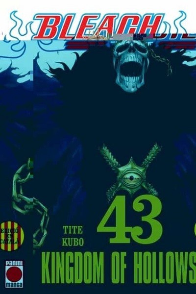 Bleach Catalan 43 (Comic)