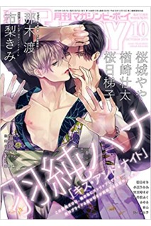 Bexboy 10 2019 (Japonés)