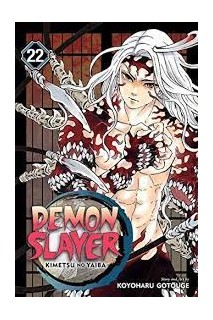 Demon Slayer (Inglés) 22