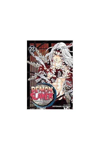 Demon Slayer (Inglés) 22