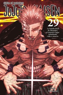 Jujutsu Kaisen (Castellano) 29