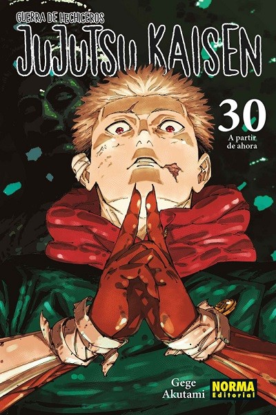 Jujutsu Kaisen (Castellano) 30