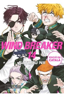 Wind Breaker (Català) 14