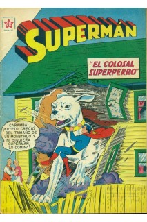 Superman (Novaro) 254