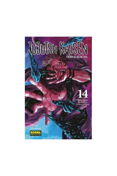 Jujutsu Kaisen 14