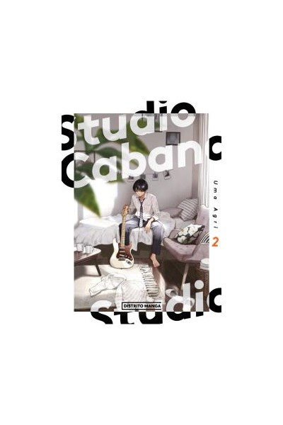Studio cabana 02