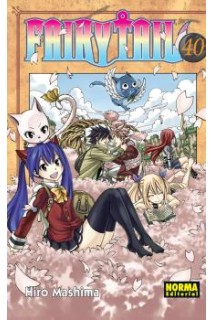 FAIRY TAIL 40