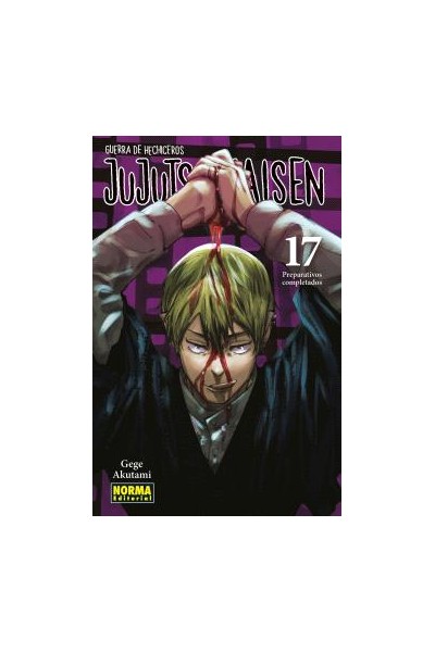 JUJUTSU KAISEN 17