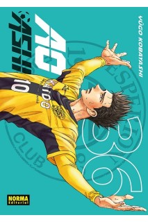 AO ASHI 36