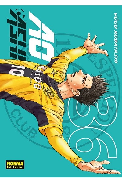 AO ASHI 36