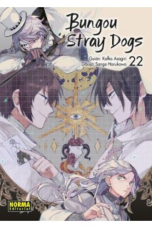 Bungou Stray Dogs 22