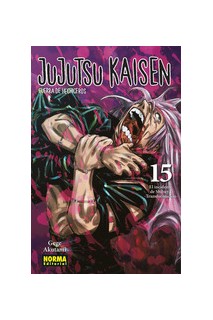 Jujutsu Kaisen 15