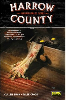 HARROW COUNTY 01