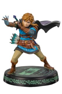 The Legend of Zelda -Tears of the Kingdom : Link