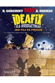 Ideafix I Els Irreductibles 9