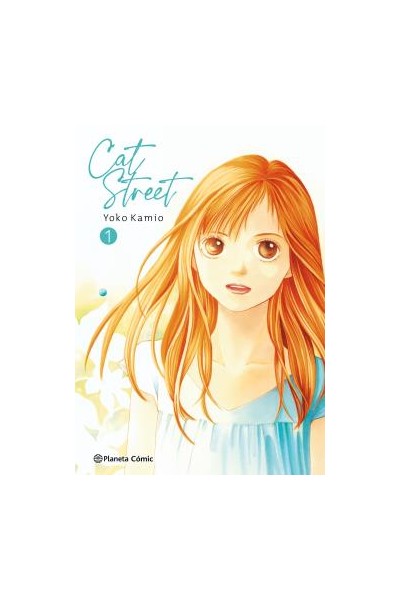 Cat Street 01 De 4