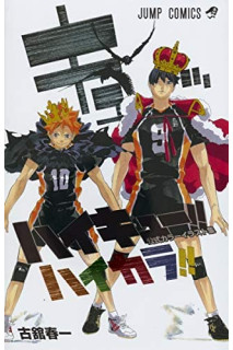 Haikyu!! · Color Illustrations Artbook (Japonés)