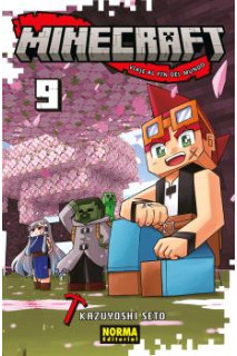 Minecraft 09