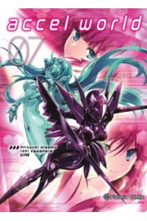Accel World 07 (De 8)