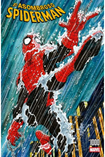 El Asombroso Spiderman · 14  (266)