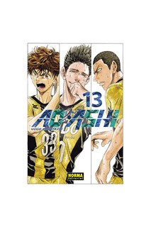 Ao Ashi 13