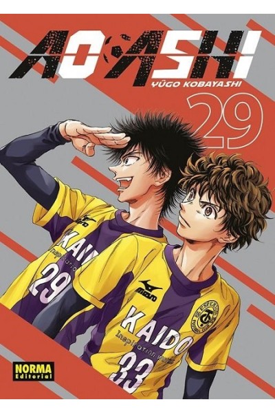 Ao AshiI 29