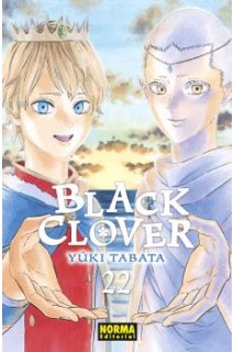 Black Clover 22