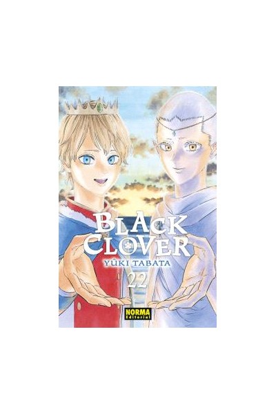 Black Clover 22