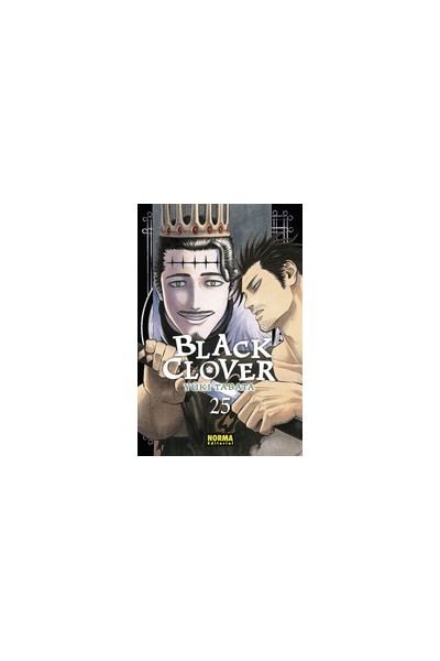 Black Clover 25