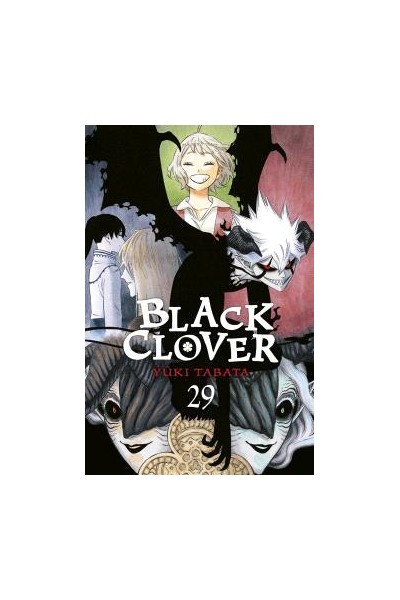 Black Clover 29