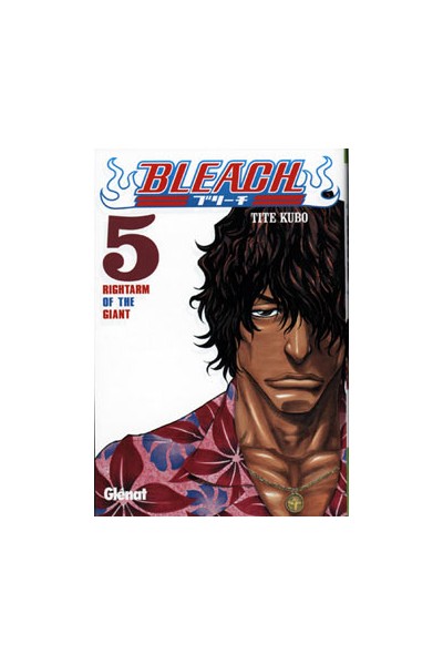 Bleach 05