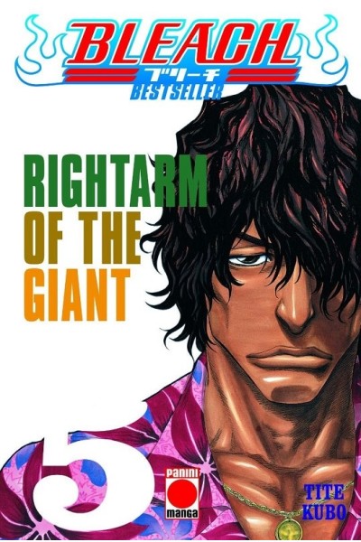 Bleach Bestseller 05