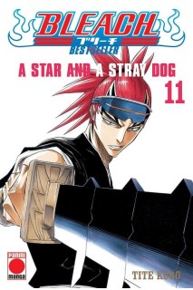 Bleach Bestseller 11