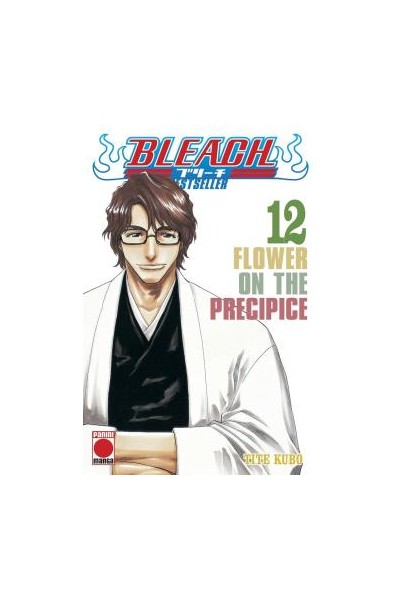 Bleach Bestseller 12