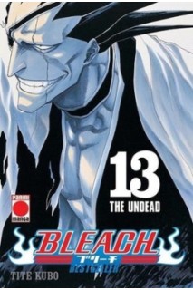 Bleach Bestseller 13
